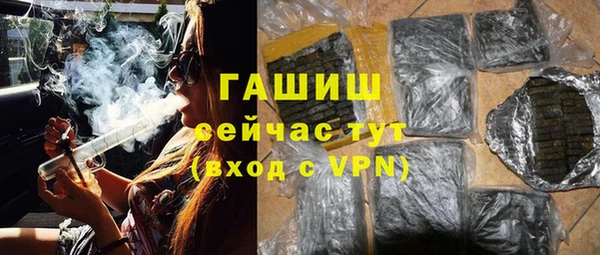 СК Новодвинск