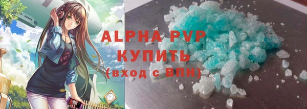 СК Новодвинск