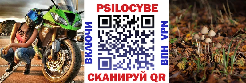 Псилоцибиновые грибы Psilocybine cubensis  Кирово-Чепецк 