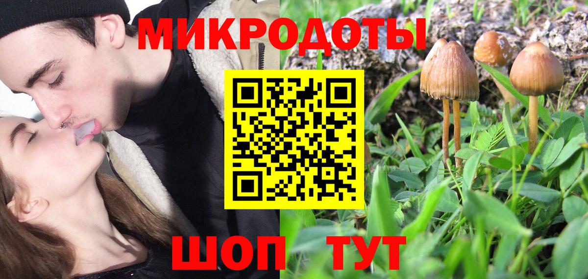 Псилоцибиновые грибы Cubensis Кирово-Чепецк