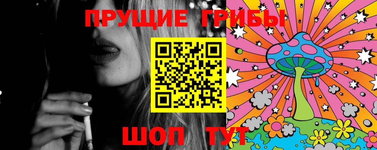 Галлюциногенные грибы Psilocybine cubensis  Кирово-Чепецк  Галлюциногенные грибы Psilocybine cubensis 