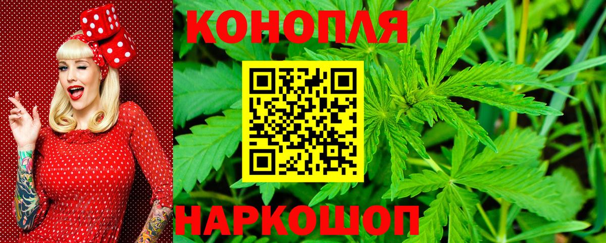 Конопля сатива Кирово-Чепецк